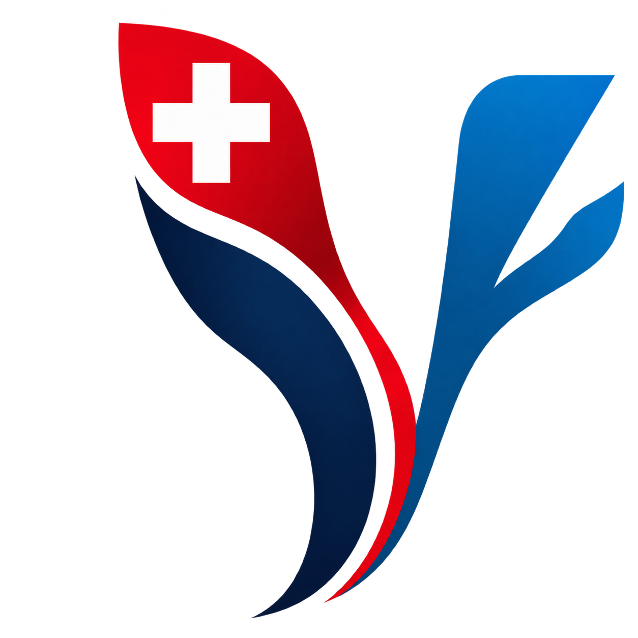 Swiss Vascular Network